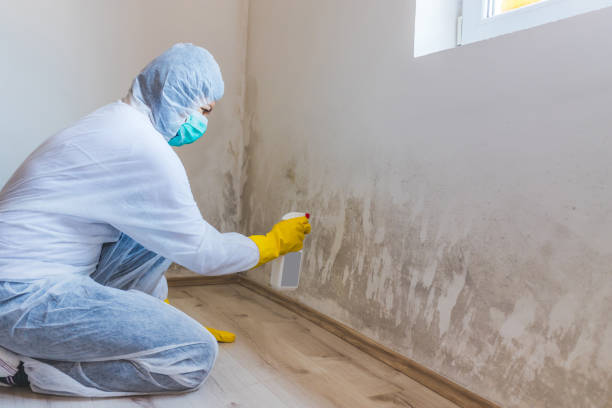 Licensed Mold Cleanup service in Ramsey, NJ - WQB Mold Removal
