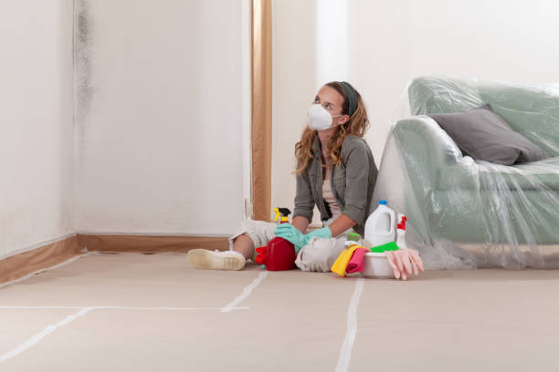 Reliable Mold Cleanup contractor in Ramsey, NJ by WQB Mold Removal